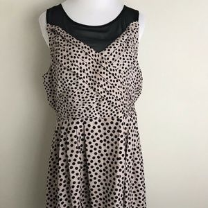 EUC! LC Lauren Conrad Dress Polka Dot Beige Black Sz 16 Illusion Neckline